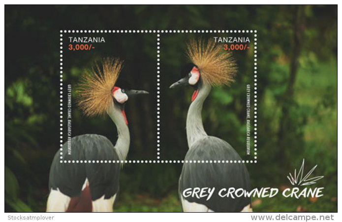 Tanzania-2016-Birds Cranes - Other & Unclassified