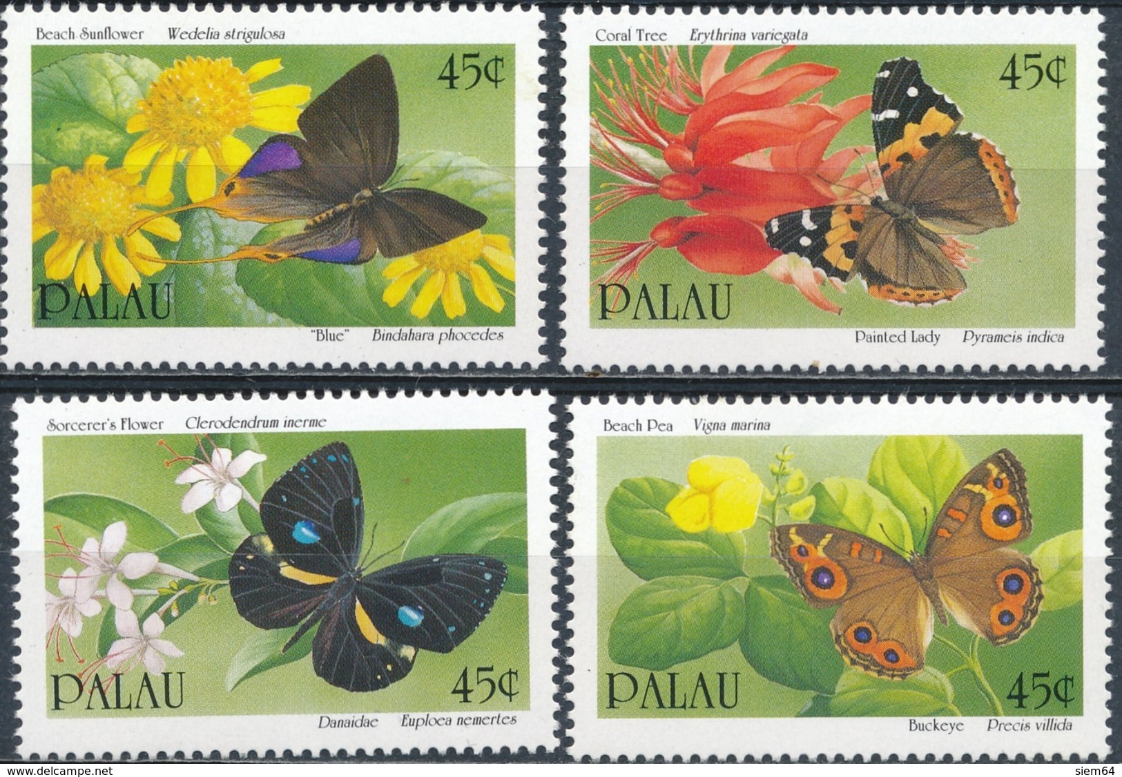 Palau Butterflies - Vlinders