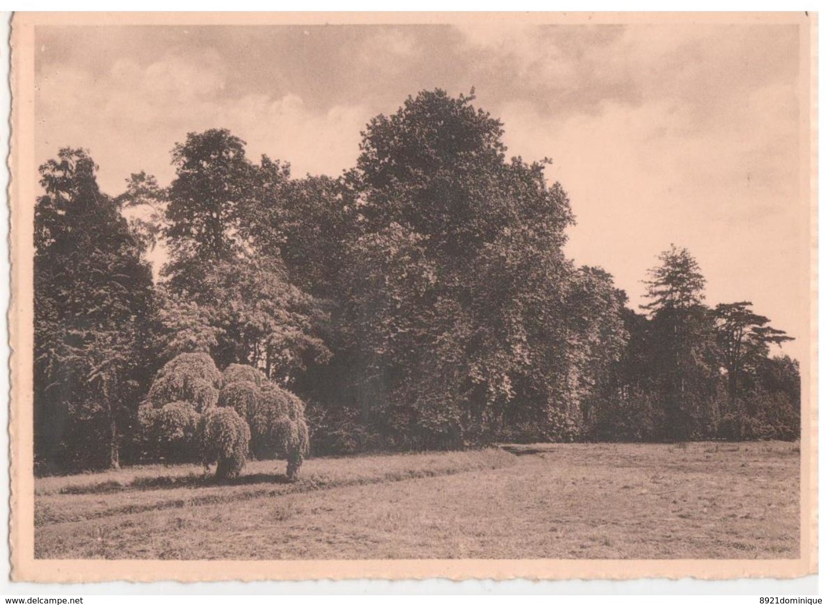 Lovenjoel. - Institut Médico-Pédagogique ; Ave Regina Genees- En Opvoedkundig Gesticht - Zicht Op Park - Bierbeek - Bierbeek