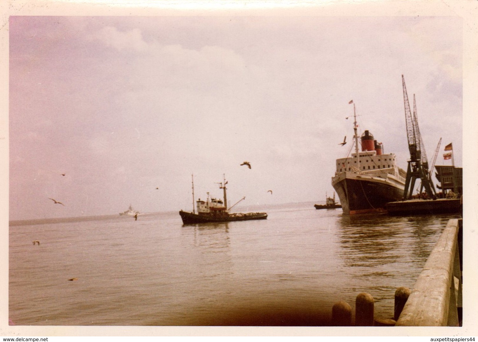 4 Photos Couleurs Originales Tour Blanc - Départ D'un Paquebot De Croisières En 1965 à 2 Cheminées En 1964 - Bateaux