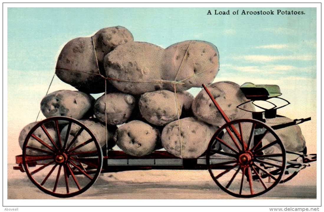 16117  Exaggeration Aroostock Potatoes - Other & Unclassified