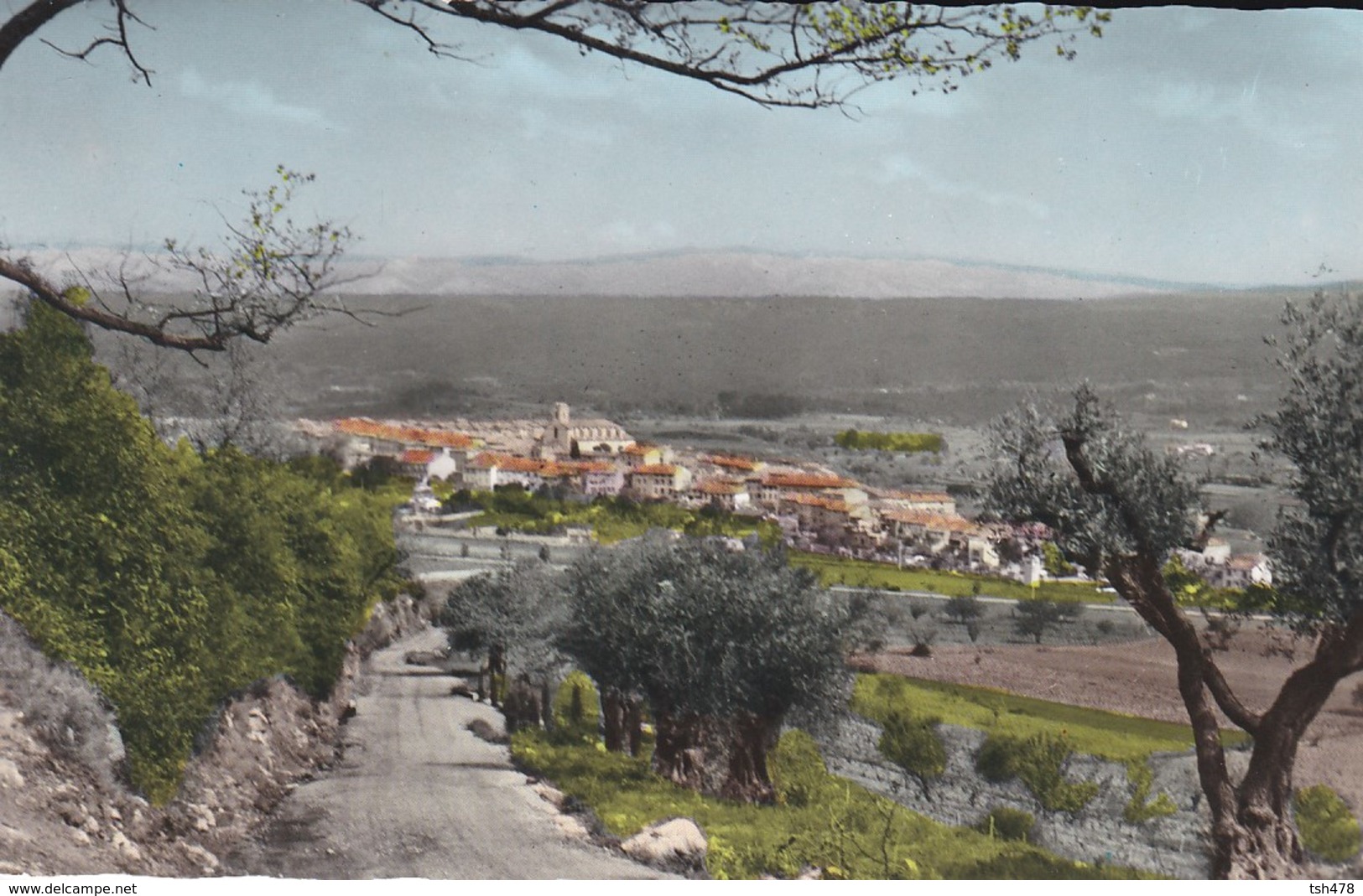 83-----LE BEAUSSET---vue Panoramique---voir 2 Scans - Le Beausset