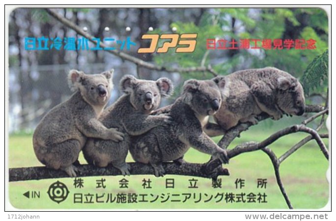 JAPAN F-965 Magnetic NTT [110-011] - Animal, Koala - Used - Japan