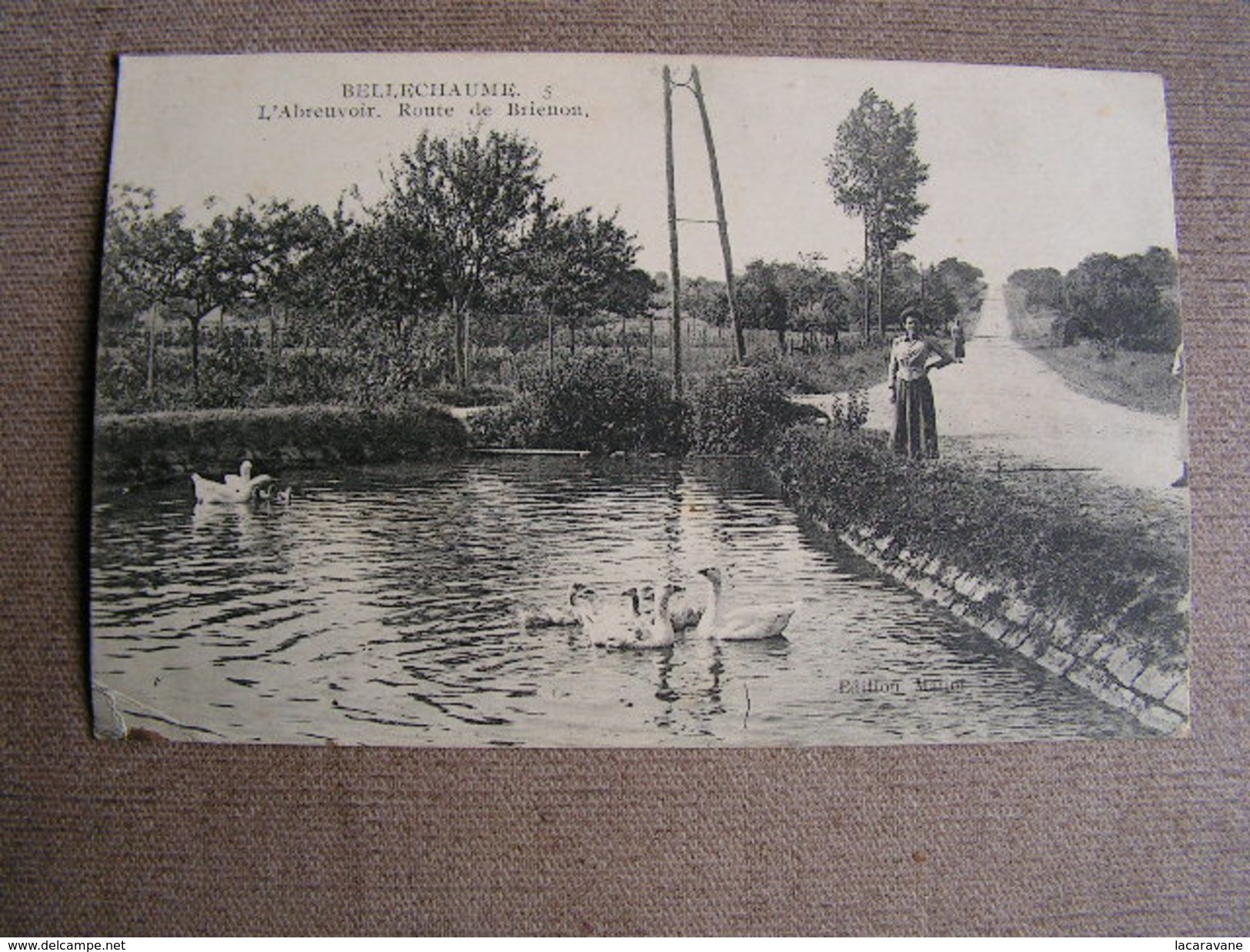 Carte Postale Ancienne 89 Yonne Bellechaume L'abreuvoir Route De Brienon  Animee - Brienon Sur Armancon