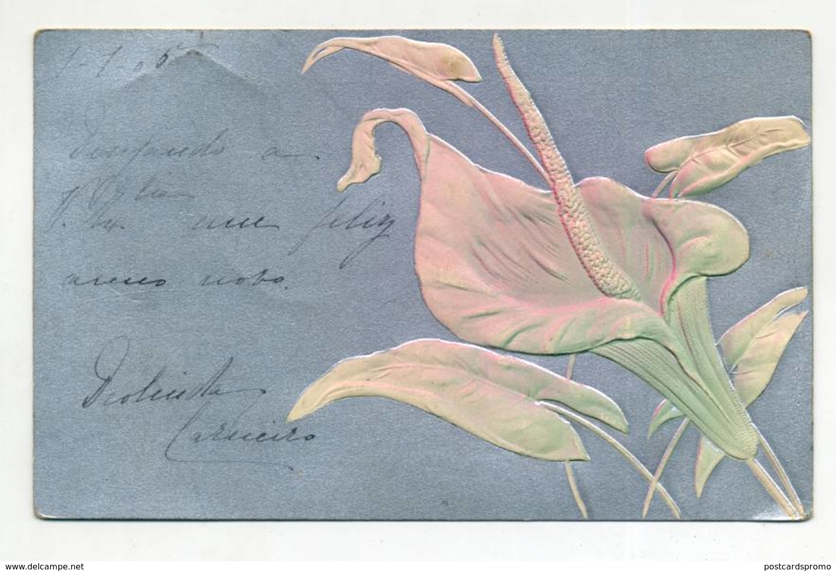 FLOWER, FLEUR - Embossed Postcard, Gaufree   ( 2 Scans ) - Fiori