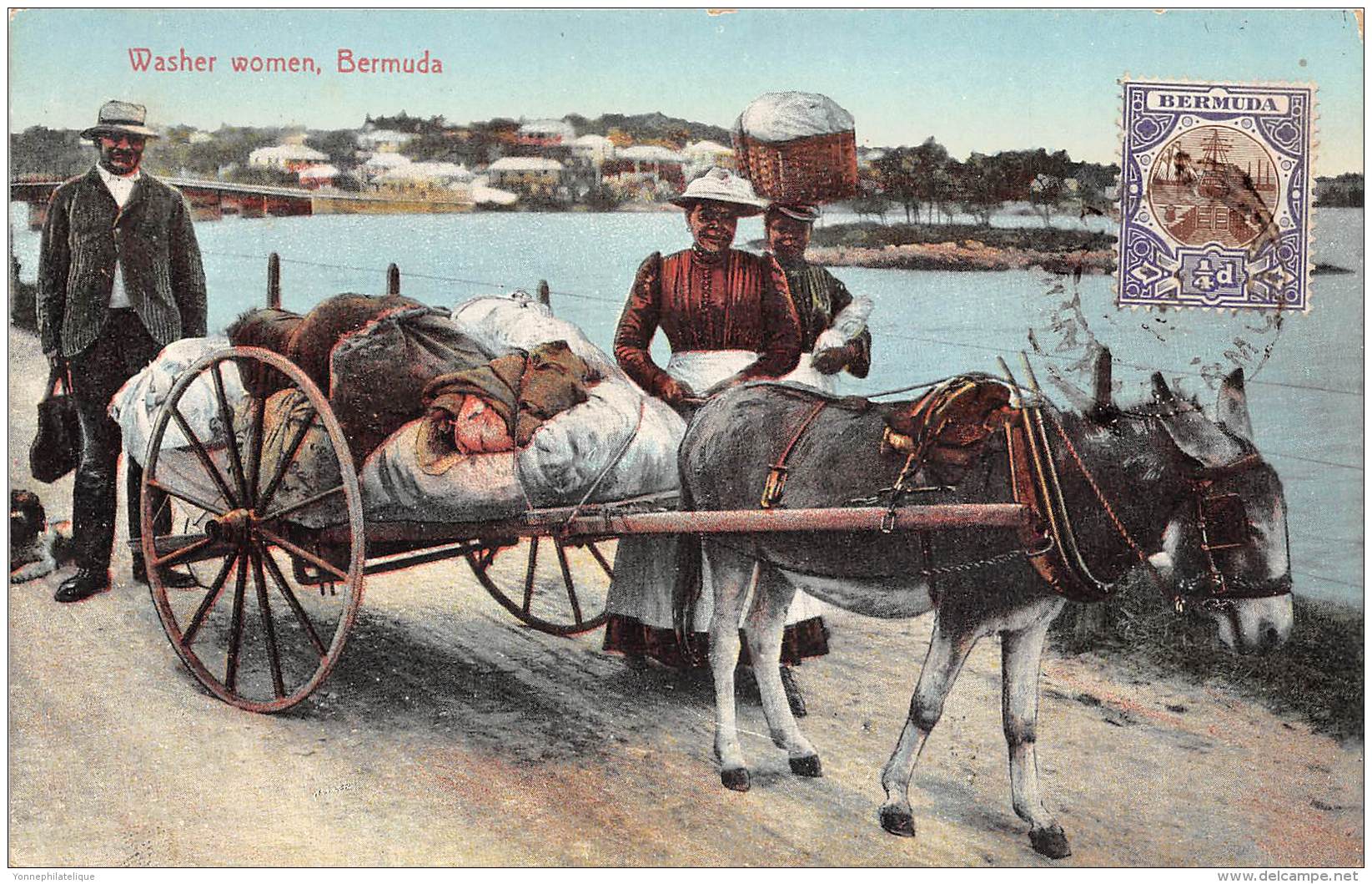 BERMUDES / Washer Women - Beau Cliché - Bermuda