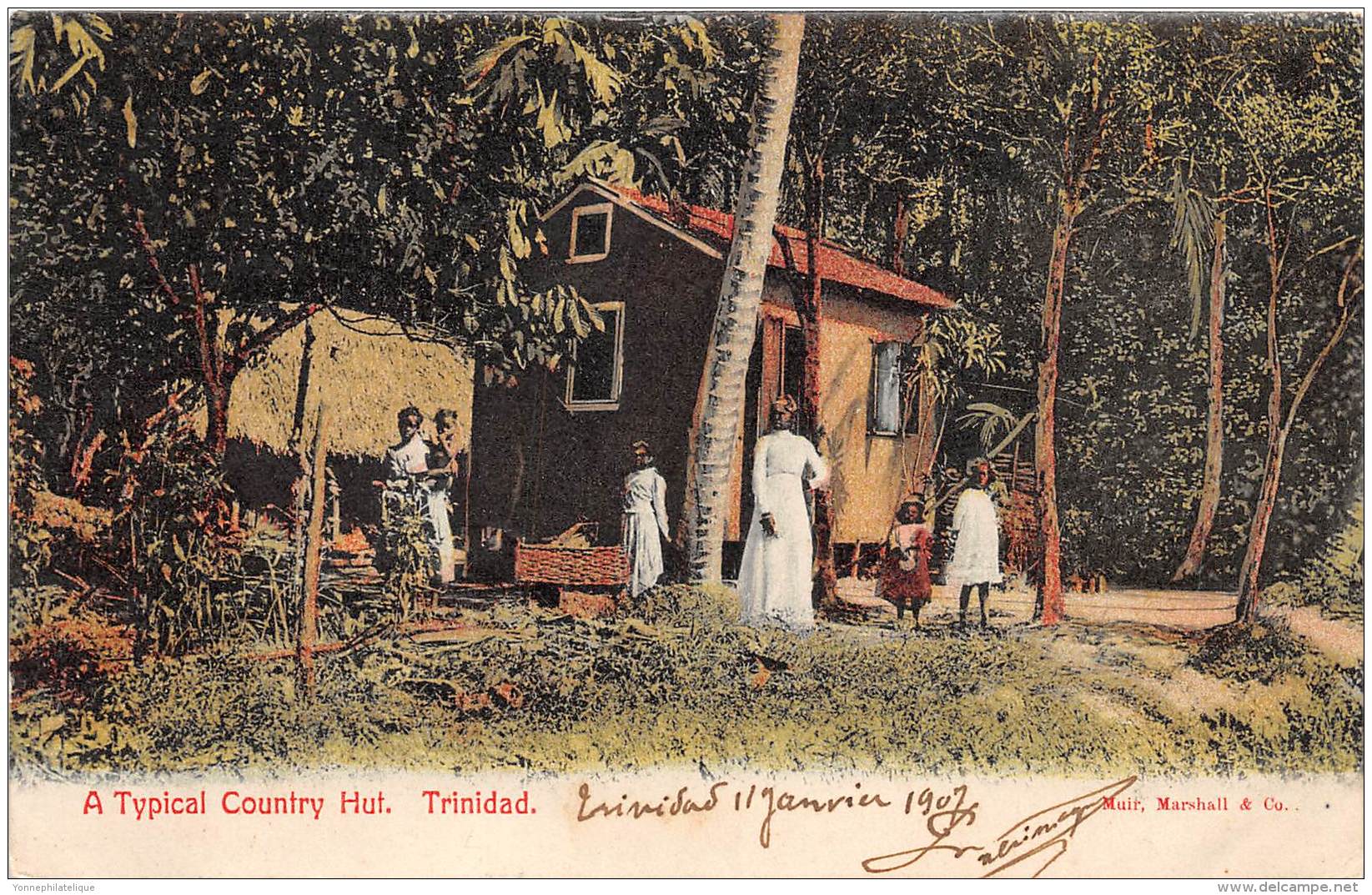 TRINIDAD / A Typical Country Hut - Trinidad