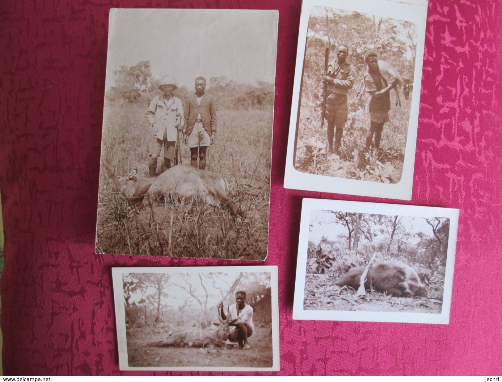 Photo De Chasse  ;antilope  ; 4 Photos - Altri & Non Classificati