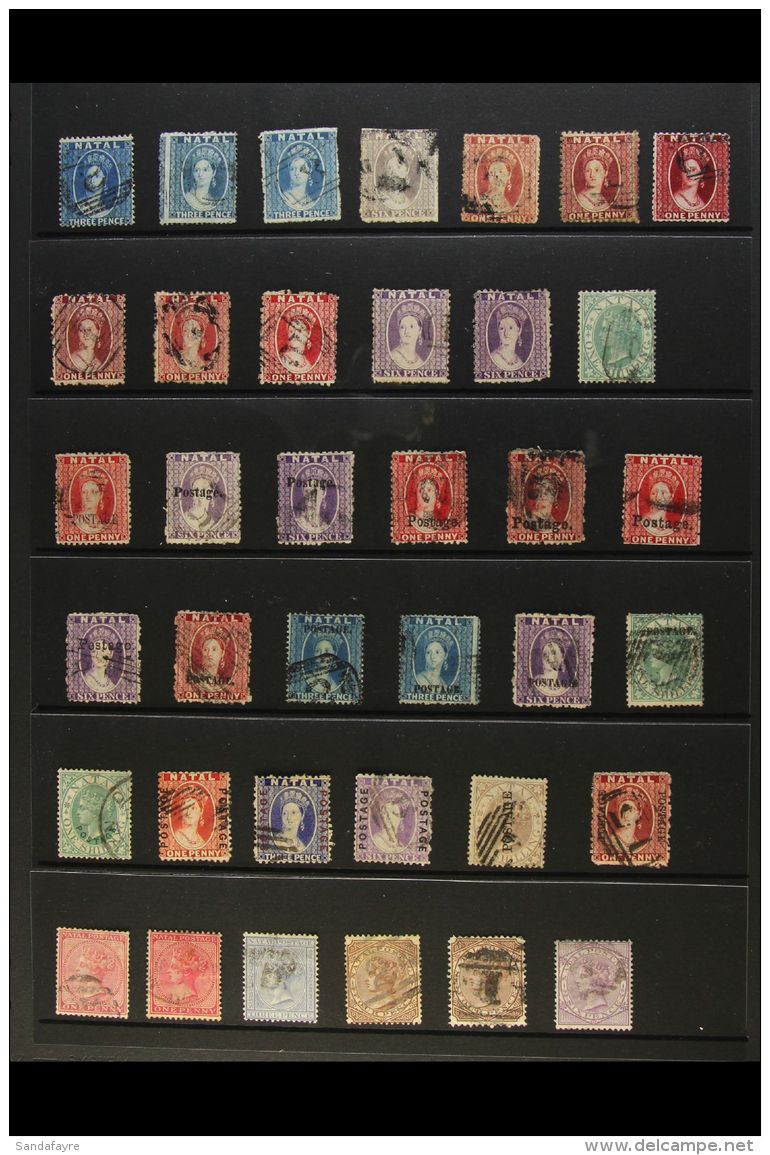 NATAL  1859-1899 VICTORIA ALL DIFFERENT COLLECTION CAT &pound;3250+. A Most Useful "Basic" Run Of Issues From... - Ohne Zuordnung