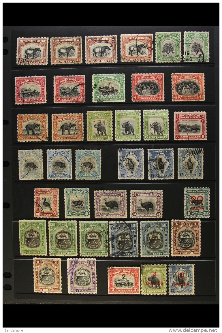 1909-1941 USED COLLECTION  An ALL DIFFERENT Mainly Cds Used Collection With Many Shade &amp; Perforation... - North Borneo (...-1963)