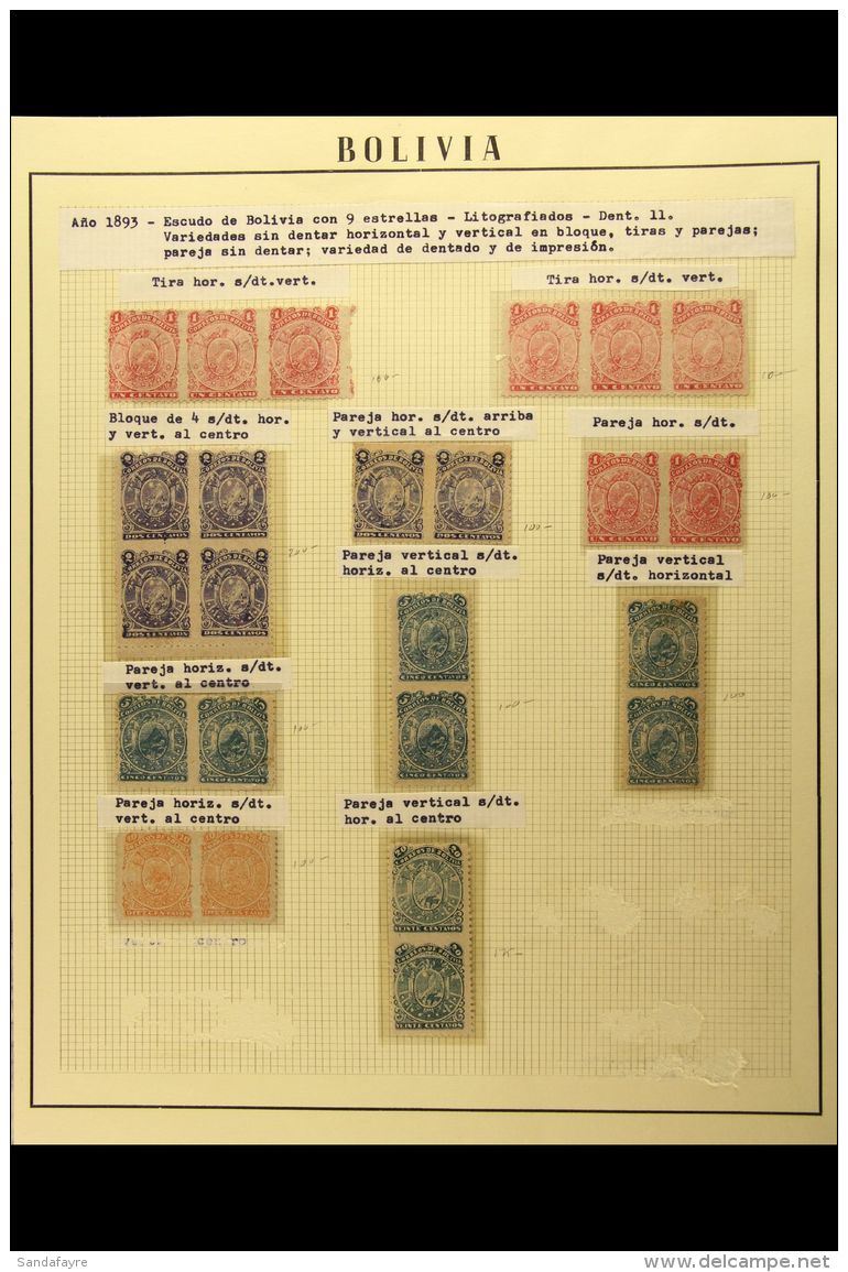 1893 PERFORATION VARIETIES &amp; ERRORS.  An Interesting Mint (some Without Gum) Collection Written Up In... - Bolivien