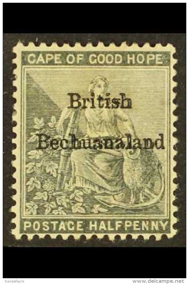 1885-7  &frac12;d Grey-black, Wmk Anchor, Some DOUBLING Of Overprint Visible On "ish" Of "British" And "h" "l"... - Sonstige & Ohne Zuordnung