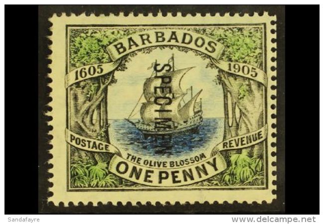 1906 SPECIMEN  1d Black, Blue &amp; Green Tercentenary "Olive Blossom" Overprinted "Specimen", SG 152s, Very Fine... - Barbados (...-1966)