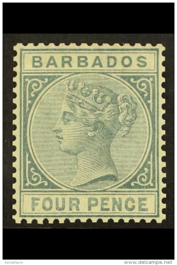 1882-86  4d Grey (1882), SG 97, Very Fine Mint For More Images, Please Visit... - Barbados (...-1966)