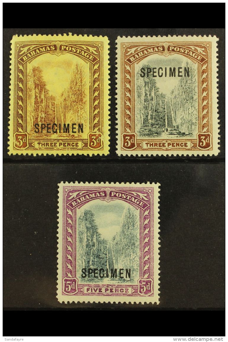 1911  Staircase Vals To 5d, Wmk MCA, Ovptd "Specimen", SG 76s, 77s &amp; 78s, Very Fine Mint. (3 Stamps) For More... - Altri & Non Classificati