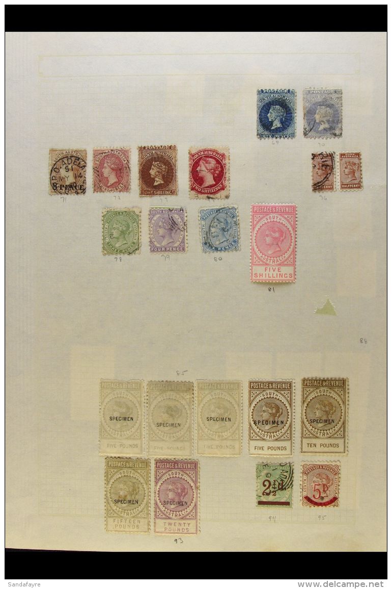 SOUTH AUSTRALIA  1856 - 1906 POWERFUL OLDE TYME MINT &amp; USED COLLECTION.  An Old M &amp; U Collection On... - Other & Unclassified