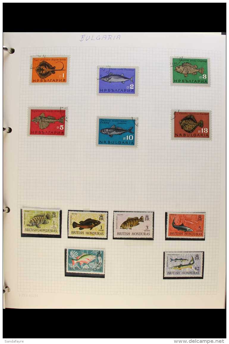 FISH, INSECTS &amp; REPTILES  A Delightful, All World, All Different, 20th Century Range Of Mint &amp; Used... - Unclassified