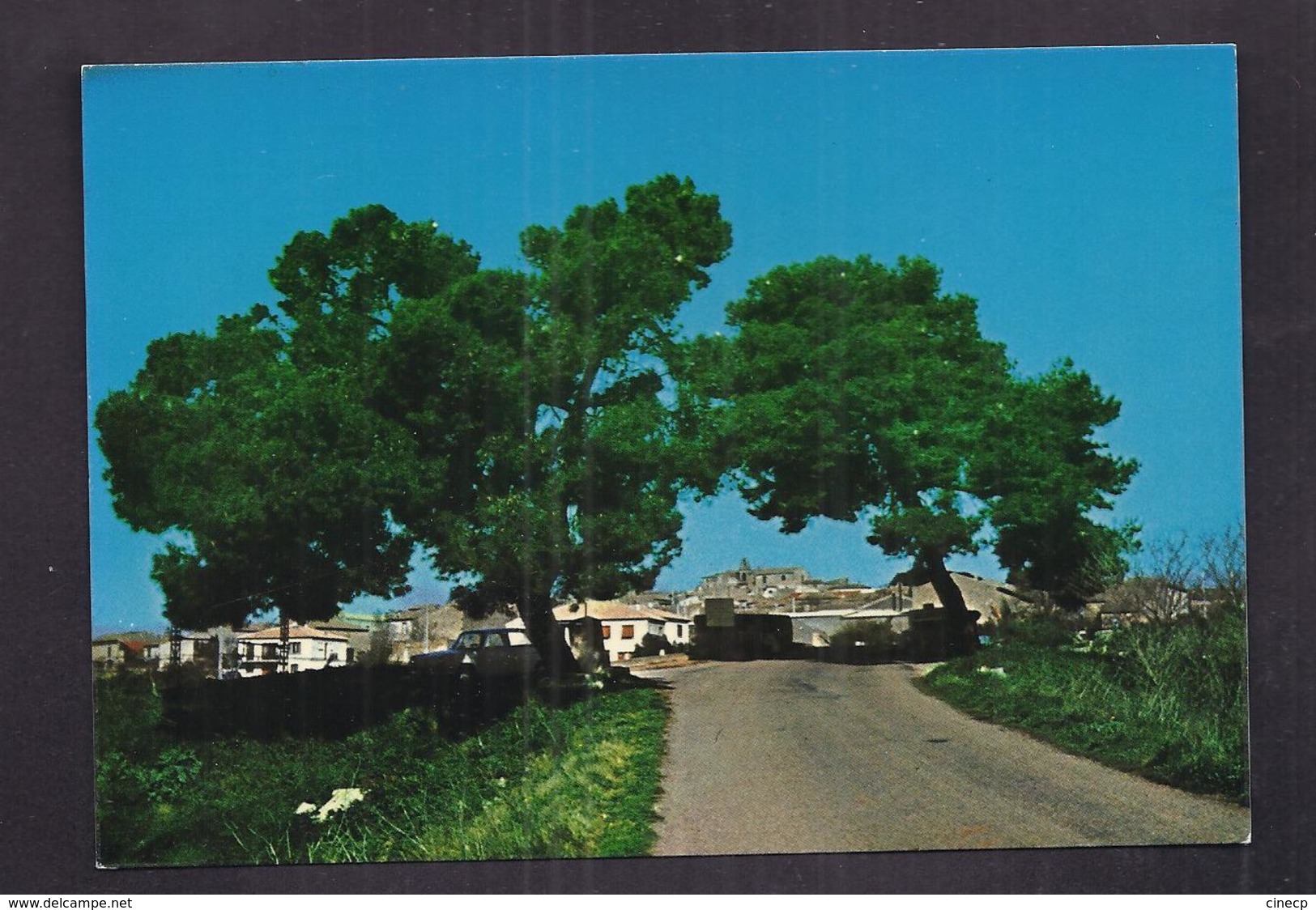 CPSM 30 - GALLARGUES LE MONTUEUX - Vue Générale - TB PLAN D'une Route Allant Vers Le Village - Gallargues-le-Montueux