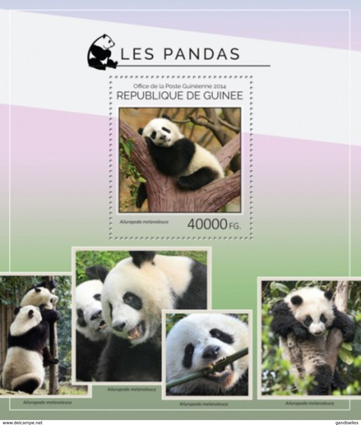 GUINEA 2014 SHEET PANDA BEARS PANDAS OURS OSOS PANDA URSOS BAREN ORSI WILDLIFE Gu14518b - Guinea (1958-...)