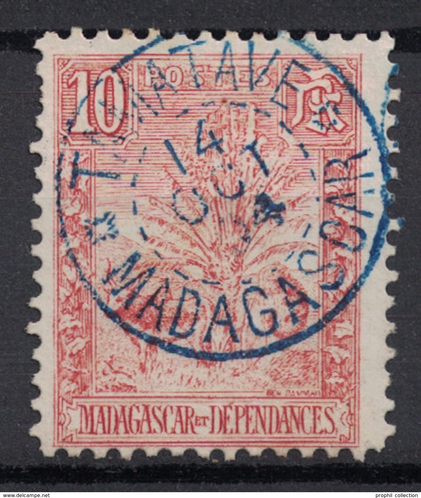 BELLE OBLITÉRATION CAD BLEU " TAMATAVE / MADAGASCAR " (FLEURONS) 1904 SUR TB TIMBRE N° 67 (TYPE ZEBU ARBRE VOYAGEUR) - Oblitérés