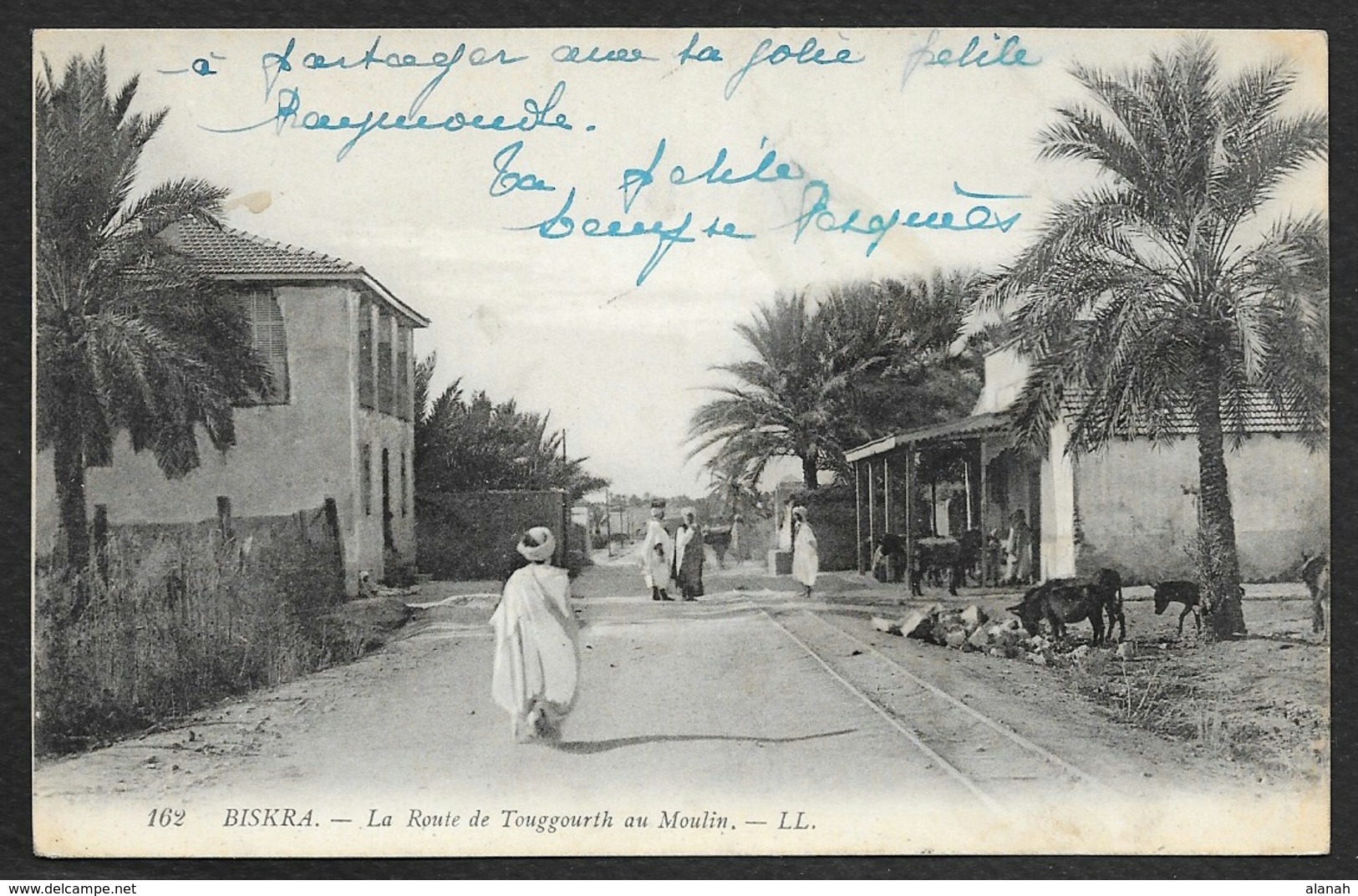 BISKRA Route De Touggourth Au Moulin (LL) Algérie - Biskra