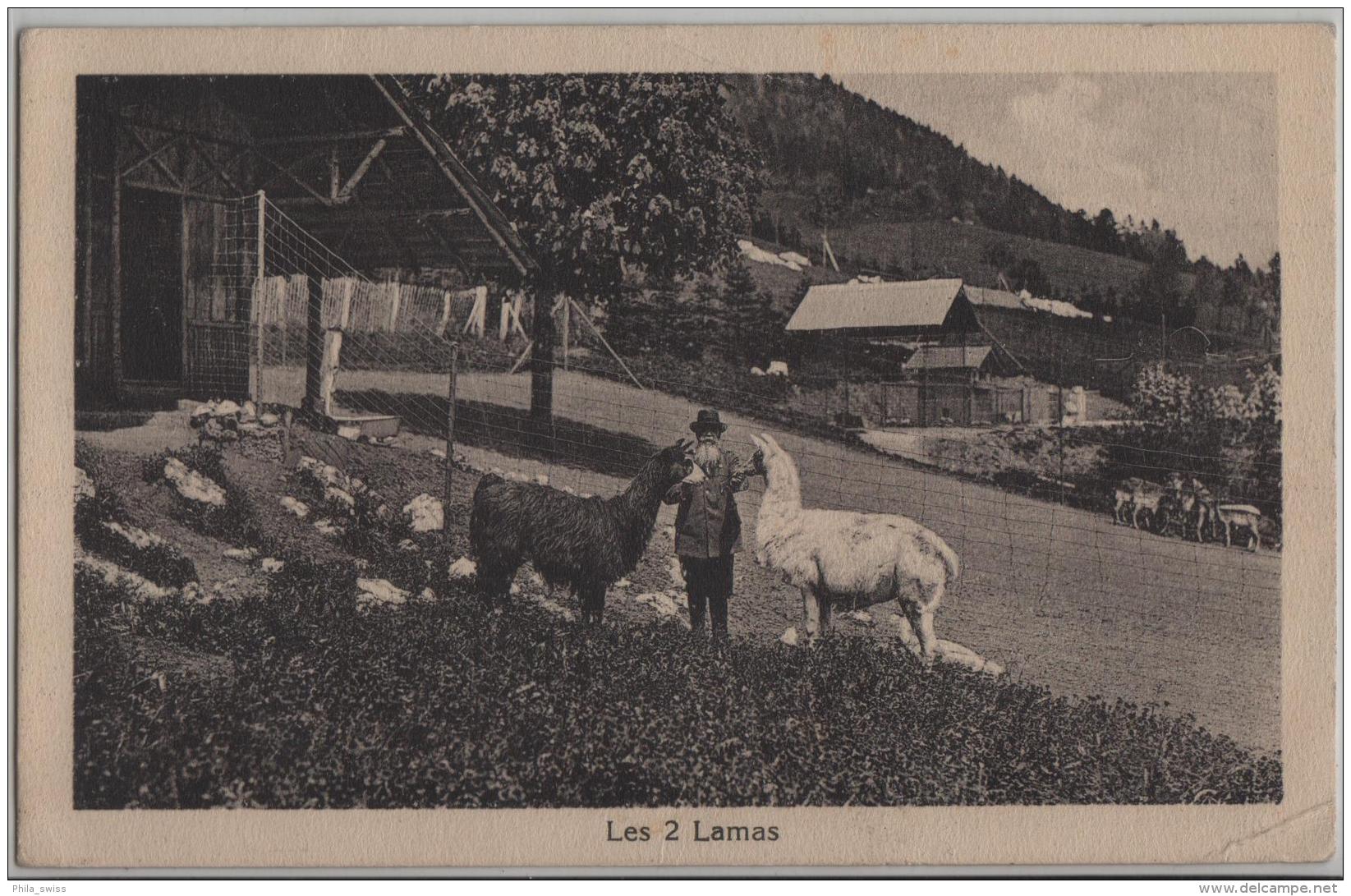 Parc D'Acclimatation Des Geneveys S/Coffrance - Les 2 Lamas - Geneveys