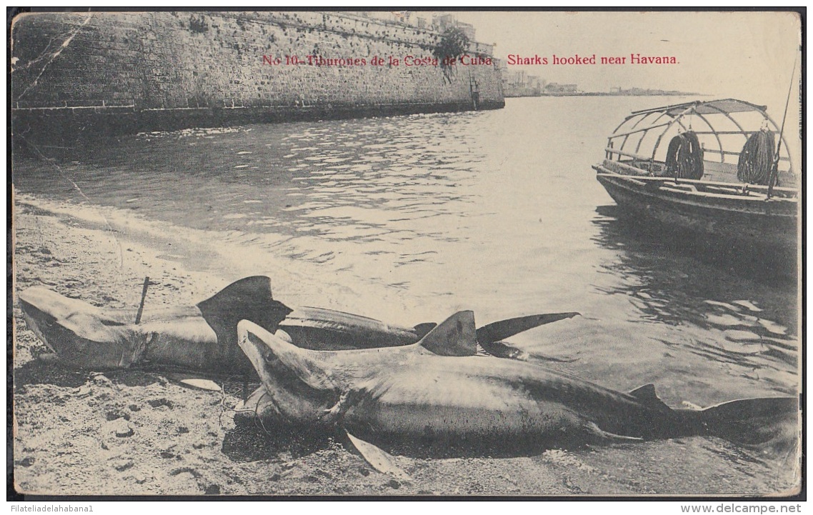 POS-526 CUBA POSTCARD. 1921. HABANA. PESCA DE TIBURONES CASTILLO DEL MORRO. - Cuba