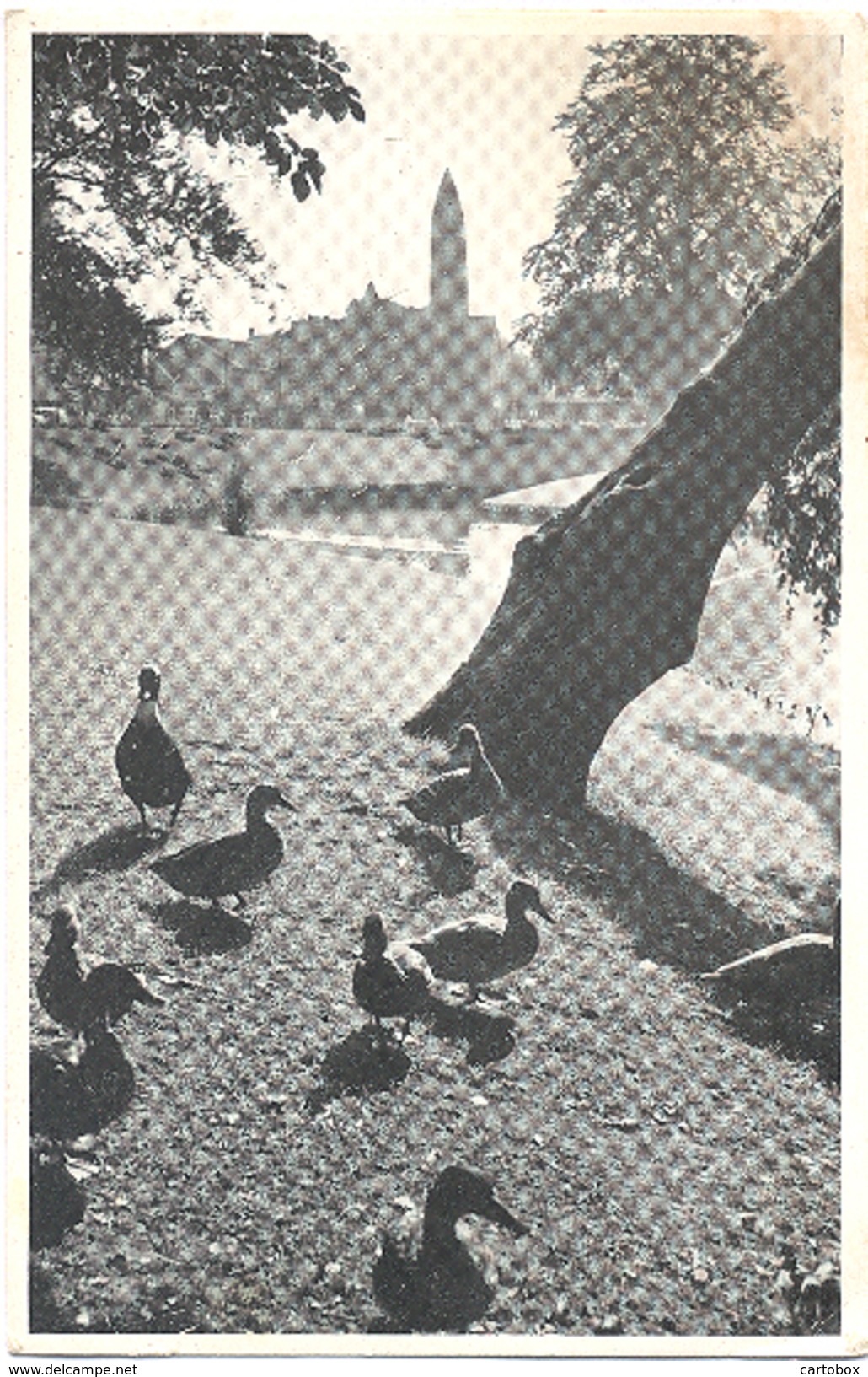 Driebergen,  De Wildbaan    (Zeist) - Driebergen – Rijsenburg