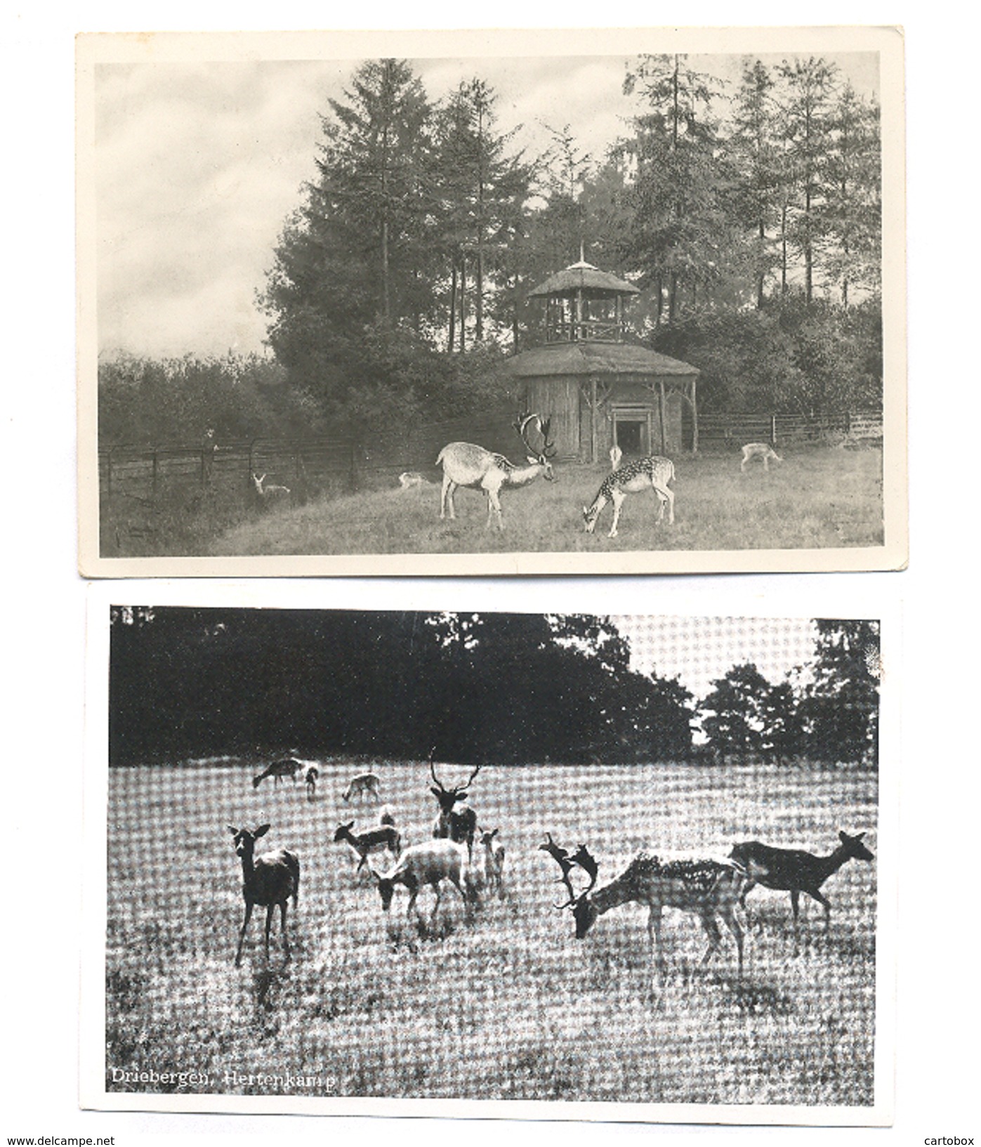 Driebergen, 2 X Hertenkamp   (Zeist) - Driebergen – Rijsenburg