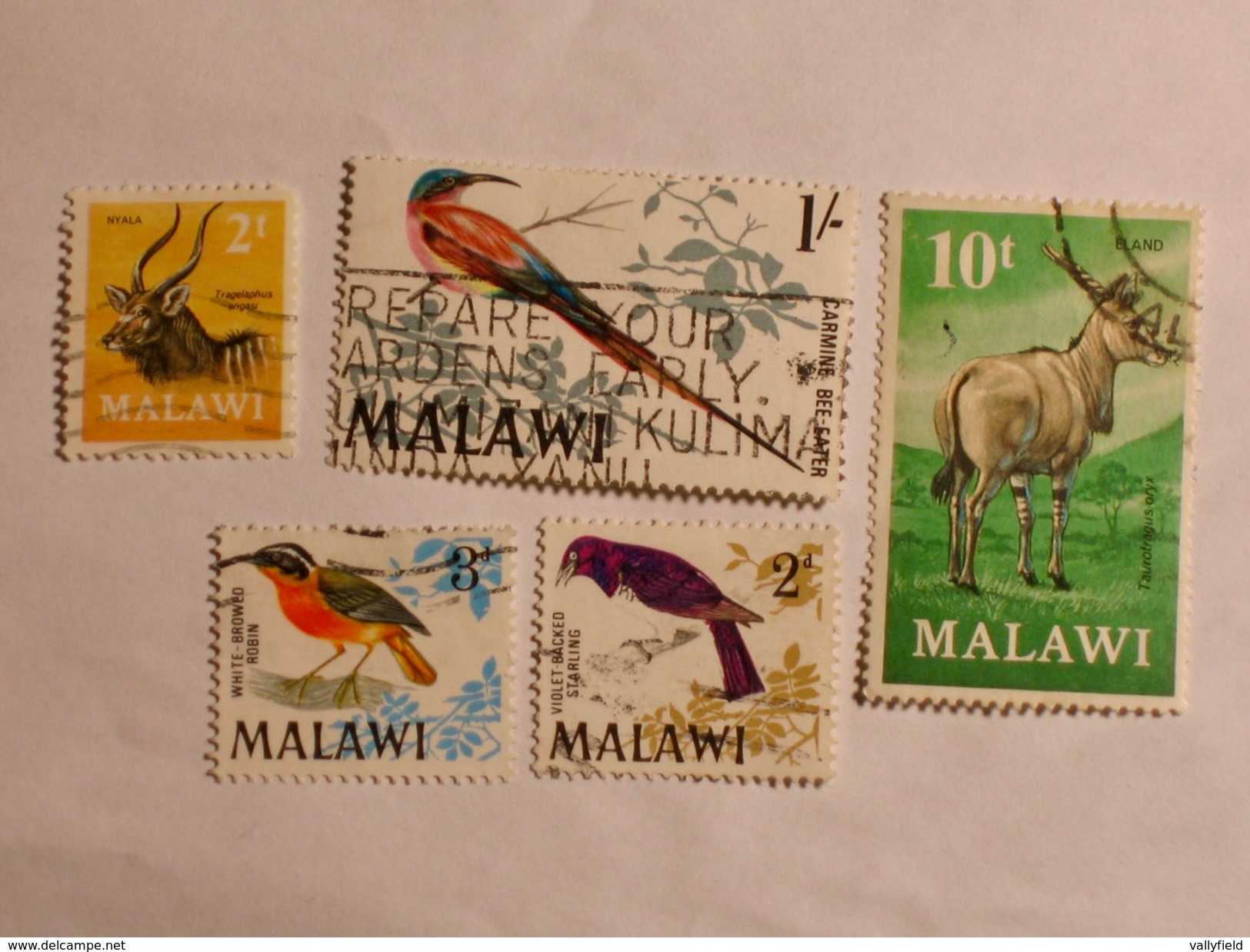 MALAWI  1968-71  LOT# 5  ANIMALS, BIRDS - Malawi (1964-...)