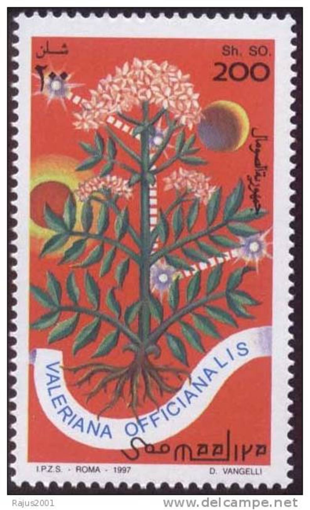 Valeriana Officinalis Medicinal Plant Used In Insomnia Prescribed By Galen And Hippocrates, Pharmacy, Medicine MNH Somal - Medizin