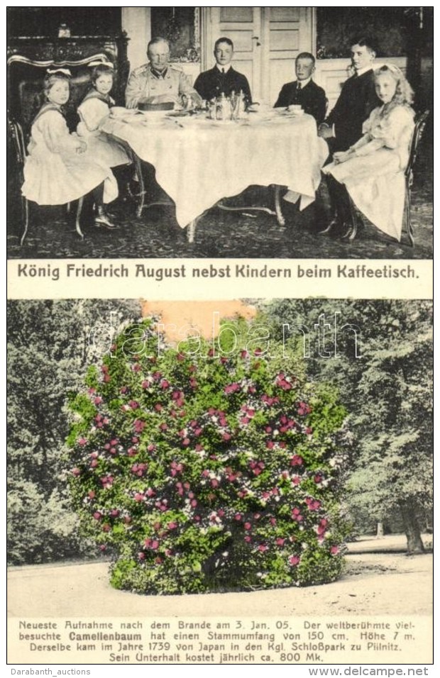 ** T1 K&ouml;nig Friedrich August Nebst Kindern Beim Kaffetisch / King Friedrich August With Family - Unclassified