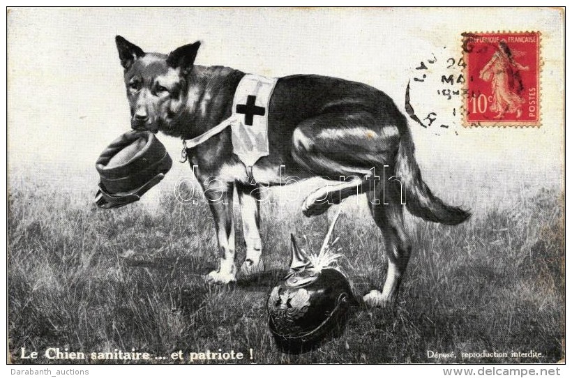 * T2 Le Chien Sanitaire ... Et Patriote! / Mocking Postcard, Anti-German Satire, Artist Signed Art Postcard - Zonder Classificatie