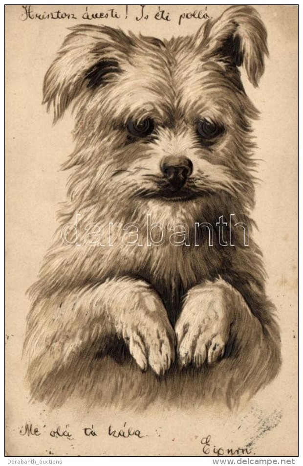 T2 Terrier, Dog; Emb. Litho - Non Classés