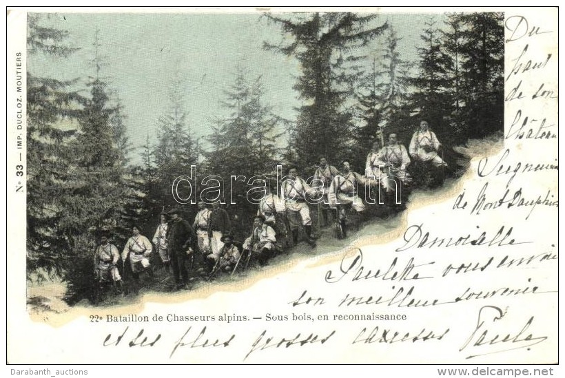 T2/T3 'Battalion De Chasserus Alpins - Sous Bois, En Reconnaissance' / Alpine Hunter Battalion During... - Non Classés