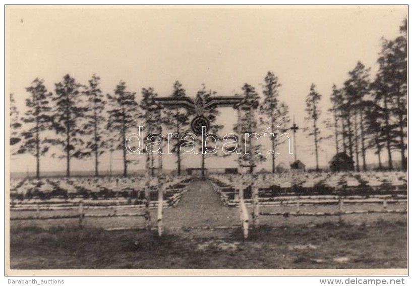 ** T1/T2 German Military Cemetery, Photo (non PC) - Non Classés
