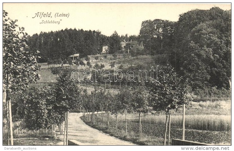 ** T1 Alfeld, Schlehberg, Photogr. Und Verlag Gustav B&ouml;ger - Non Classés