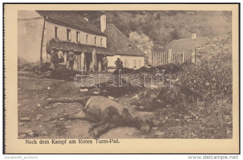 ** T2 V&ouml;r&ouml;storony, Roterturmpass; Nach Dem Kampf Am Roterturmpass / WWI Damaged Site, Dead Horses - Non Classés