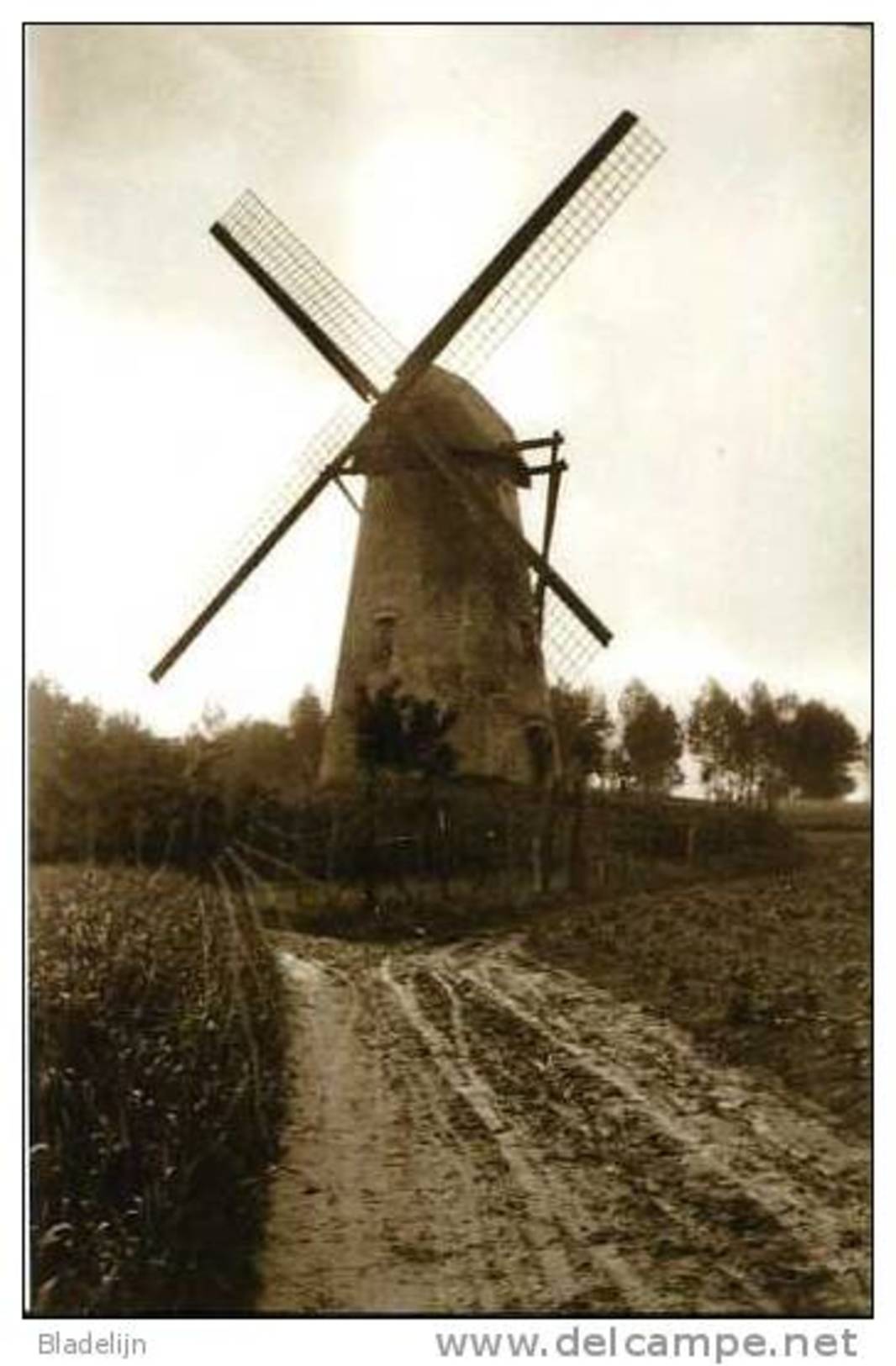OOMBERGEN ~ Zottegem (O.Vl.) - Molen/moulin - De Gewezen Molen De Gang In 1945, Nog Met Kap En Wieken. Romp Sinds 1950. - Zottegem