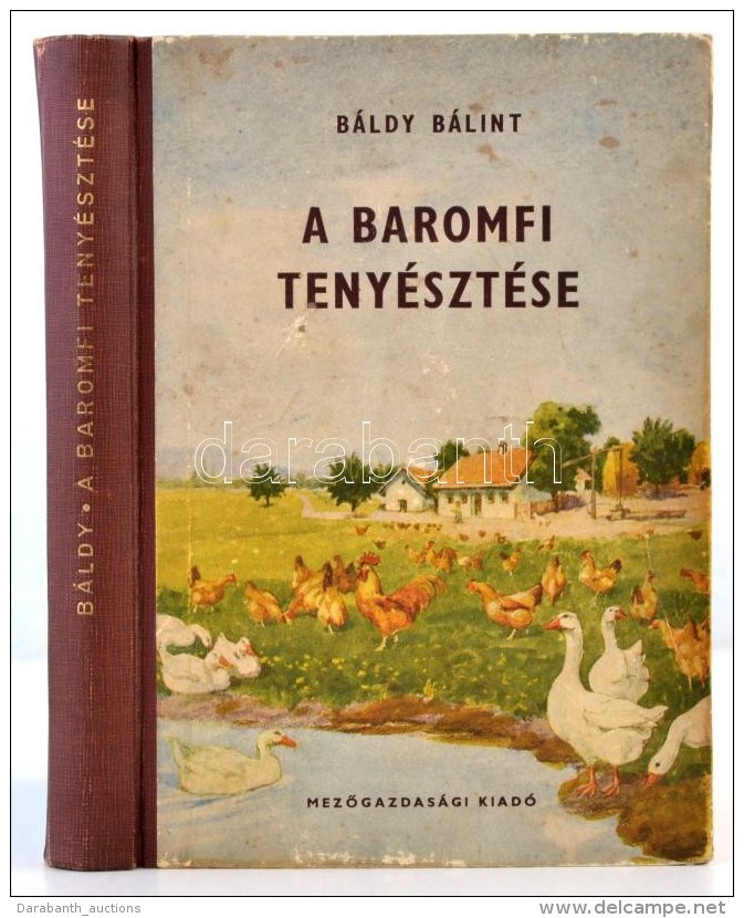 B&aacute;ldy B&aacute;lint: A Baromfi Teny&eacute;szt&eacute;se. Bp., 1954, MezÅ‘gazdas&aacute;gi Kiad&oacute;.... - Non Classés