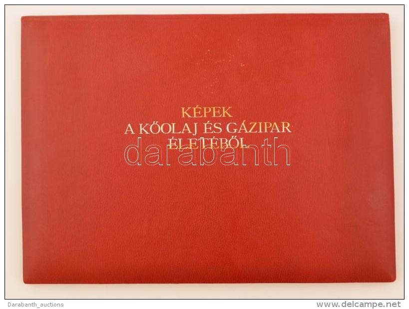 Cca 1970 K&eacute;pek A KÅ‘olaj- &eacute;s G&aacute;zipar &eacute;let&eacute;bÅ‘l, 12 Metszet Neves... - Autres & Non Classés