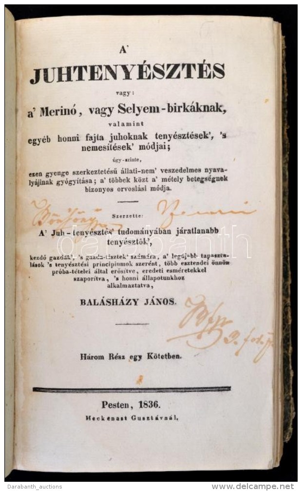 Bal&aacute;sh&aacute;zy J&aacute;nos: A Juhteny&eacute;szt&eacute;s, Vagy A Merin&oacute;, Vagy... - Sin Clasificación