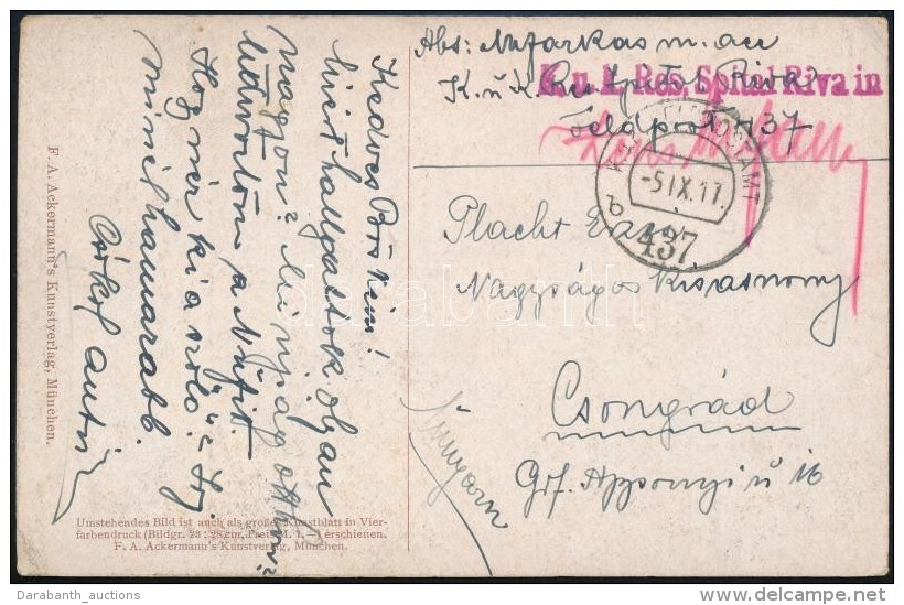 1917 T&aacute;bori Posta K&eacute;peslap / Field Postcard 'K.u.k. Res. Spital Riva In' + 'FP 437 B' - Autres & Non Classés