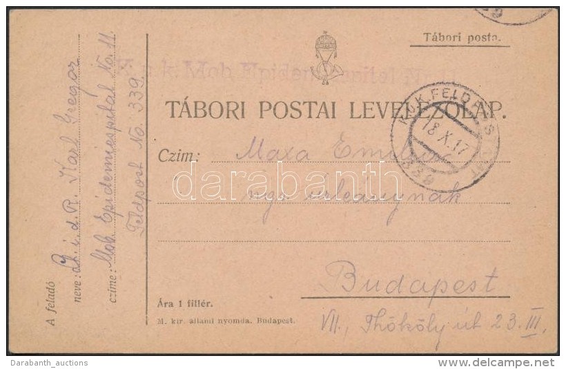 1917 T&aacute;bori Posta LevelezÅ‘lap / Field Postcard 'K.u.k. Mob Epidemiespital Nr.11.' + 'FP 339' - Autres & Non Classés