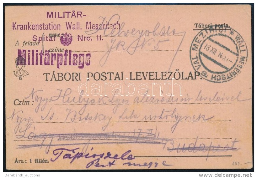 1914 T&aacute;bori Posta LevelezÅ‘lap / Field Postard 'MILIT&Auml;R Krankenstation Wall. Meseritsch Spital Nro.11.' - Autres & Non Classés