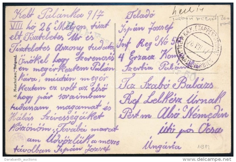 1917 T&aacute;bori K&eacute;peslap / Field Postcard 'EP PALANKA In SERBIEN' - Other & Unclassified