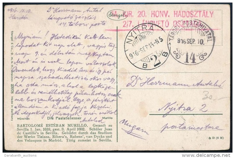 1916 T&aacute;bori Posta K&eacute;peslap / Field Postcard 'M.KIR. 20. HONV. HADOSZT&Aacute;LY 2/7 L&Aacute;NGVETÅ... - Otros & Sin Clasificación