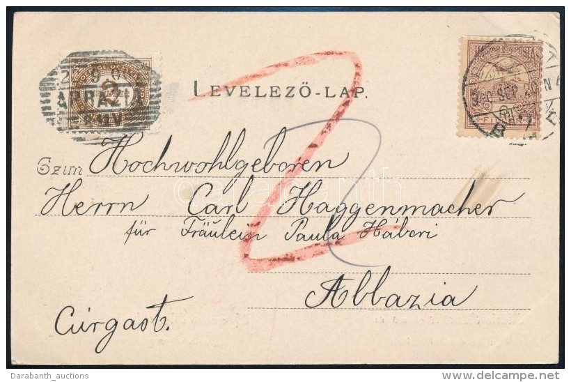 1900 Alulb&eacute;rmentes&iacute;tett K&eacute;peslap 2f Port&oacute;val Abb&aacute;zi&aacute;ba / Postcard With... - Autres & Non Classés