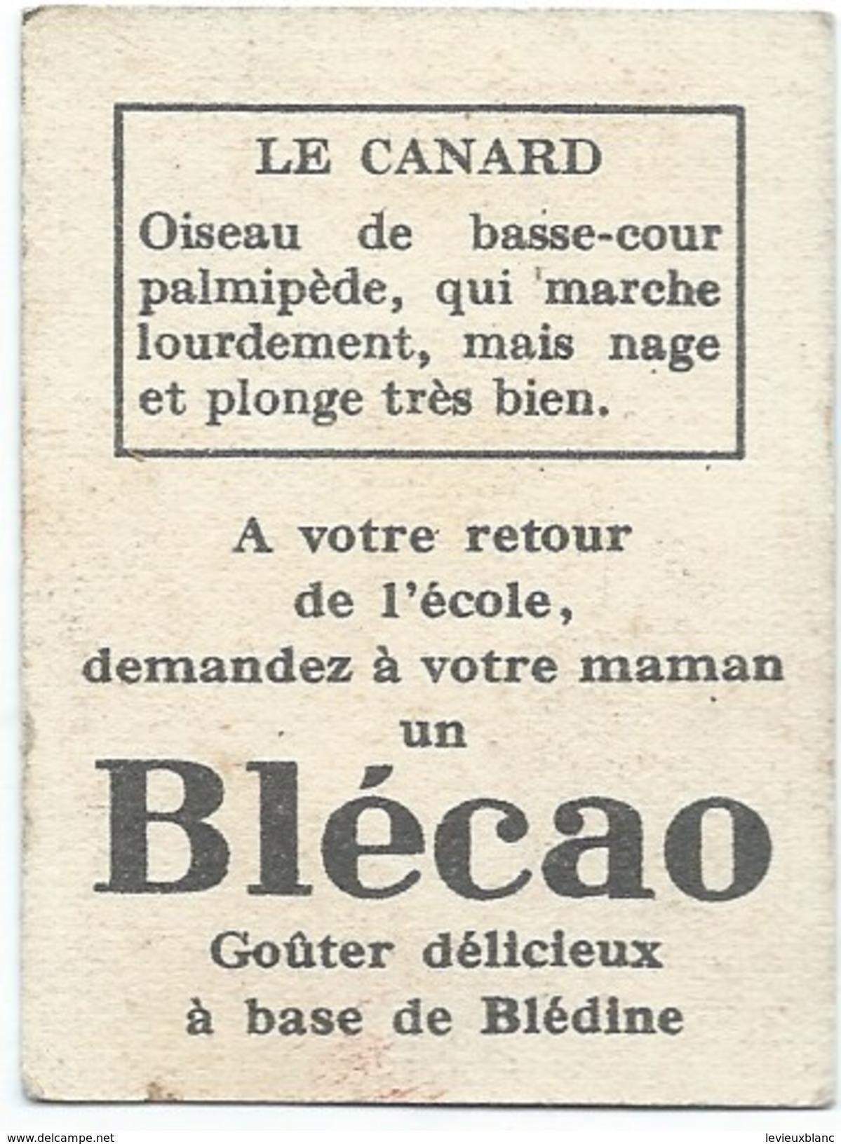 Bon Boint Publicitaire / Canard Colvert/ Blécao/Goûter à Base De Blédine//Vers 1950                    CAH163 - Diploma & School Reports