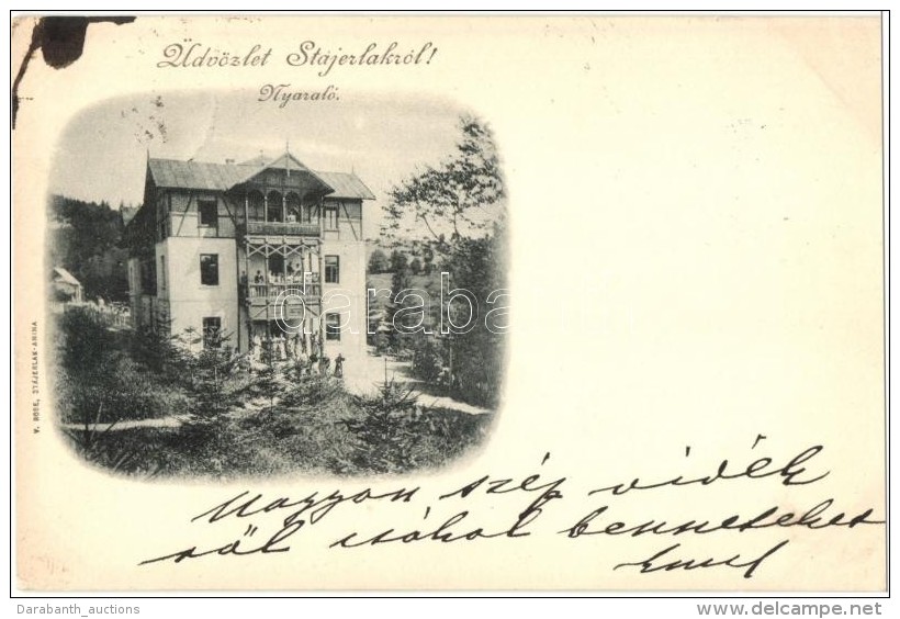 T2 1899 Anina, St&aacute;jerlakanina, Steierdorf; Nyaral&oacute;. V. Rose Kiad&aacute;sa / Hotel Villa - Non Classés